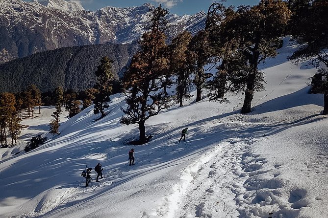 Chopta Trek - Four days of Chopta, not weeks in the mountains