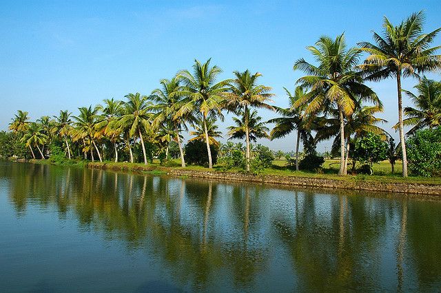 Cochin : Alleppey/Alappuzha Backwater Canoe (Shikara) Cruise - 6 Key Things That Make This Shikara Cruise Worth It