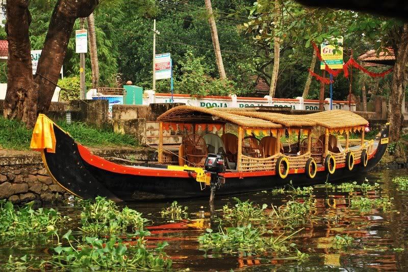 Cochin : Alleppey/Alappuzha Backwater Canoe (Shikara) Cruise - Tips to Get the Best Day Possible