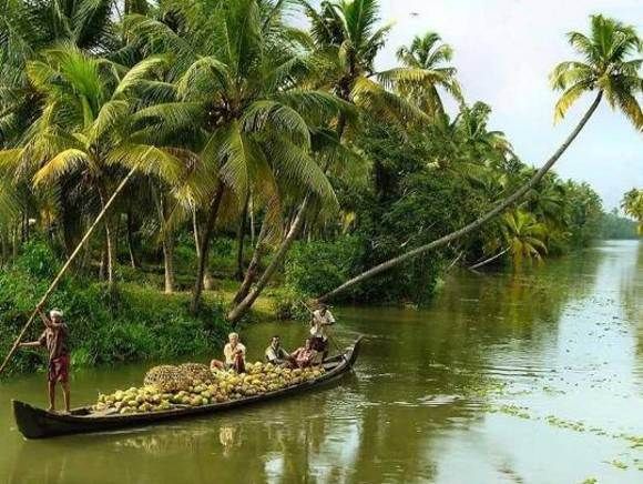 Cochin : Alleppey/Alappuzha Backwater Canoe (Shikara) Cruise - Shikara Backwaters: What You Really Get for Your Time