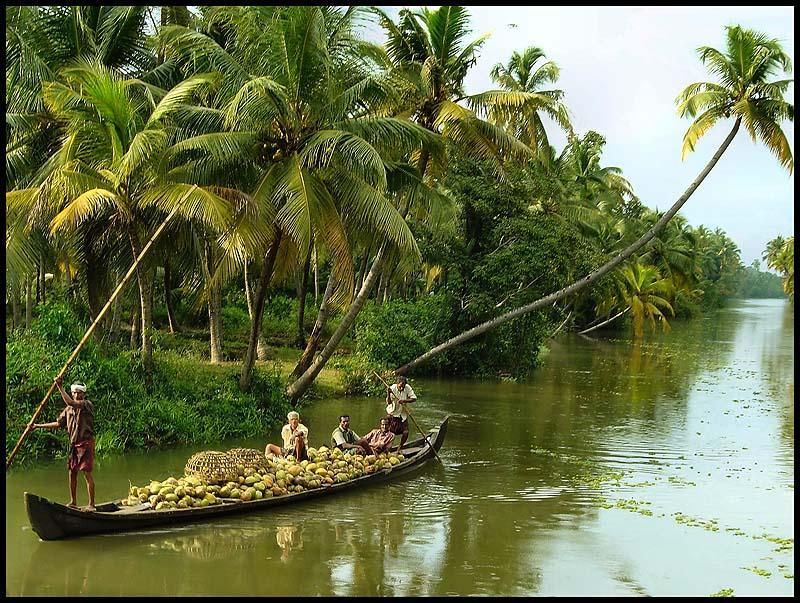 Cochin: Alleppey Backwater Private Day Cruise by Houseboat - Getting From Cochin to Alleppey, the Easy Part