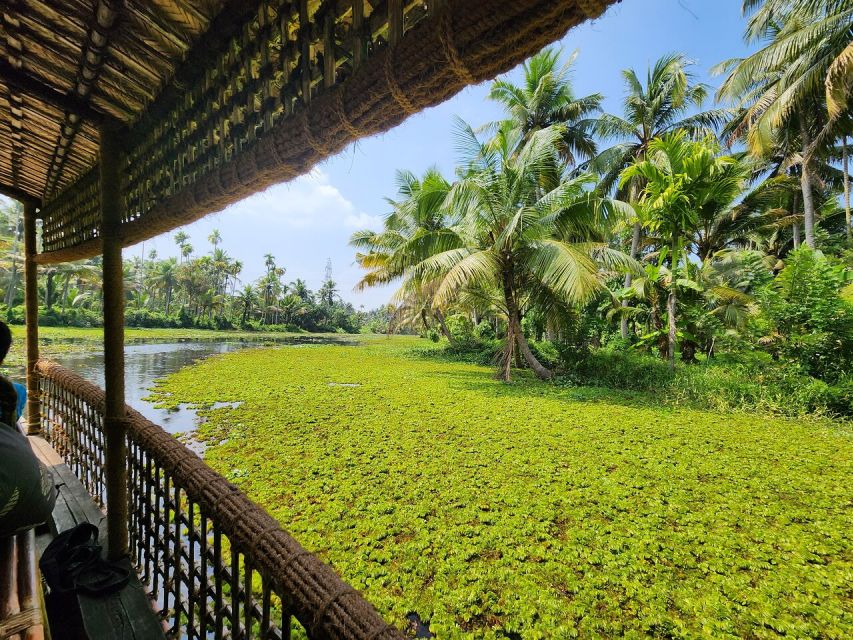 Cochin: Backwater Village Eco Boat Cruise with Lunch - Key highlights worth your attention