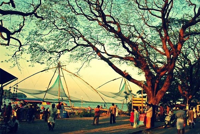 Cochin City or Backwater Shore Excursions from Cruise Terminal - Chinese Fishing Nets and Fort Kochi: Iconic, Crowded, and Worth a Stop