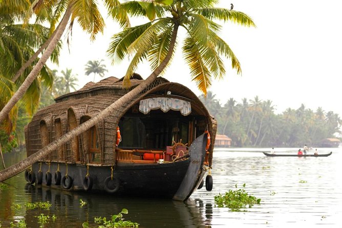 Cochin City or Backwater Shore Excursions from Cruise Terminal - Transport Time and Traffic Reality: The Bus Ride Is Part of the Story