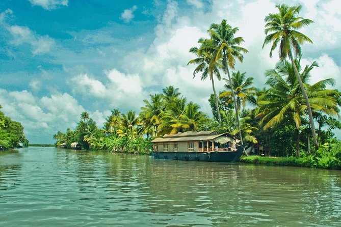 Cochin City or Backwater Shore Excursions from Cruise Terminal - Backwaters by Houseboat or Shikara Canoe: The View You Came for