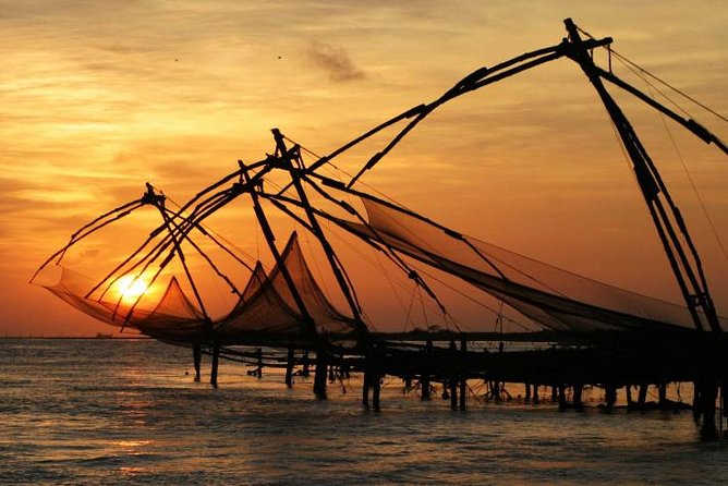 Cochin Shore Excursions from Cruise Terminal - Chinese Fishing Nets: More Than Just a Photo Stop