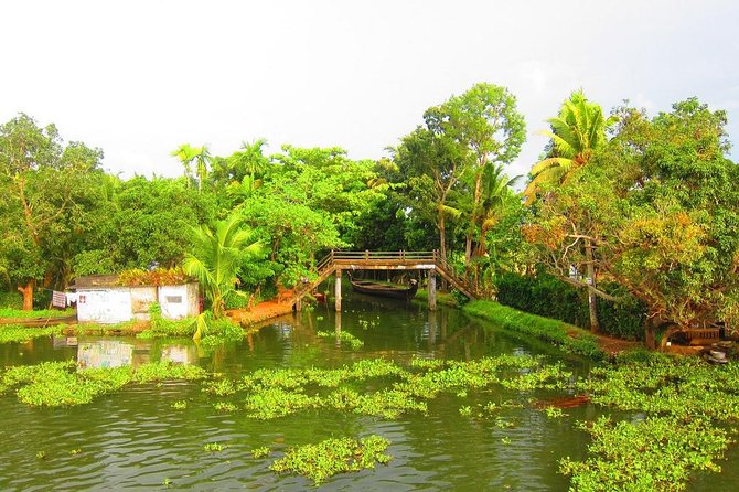 Cochin Shore Excursions from Cruise Terminal - Meeting Points and Time Management at Port Kochi