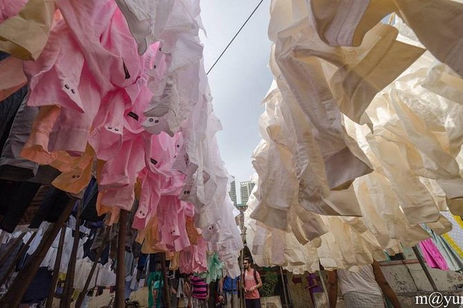 Dabbawala, Dhobi Ghat & Dharavi slum Tour with Local Train Ride - What It Costs, and Why the Value Makes Sense