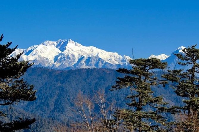 Darjeeling Tonglu Day Trek - Key things to know before you go