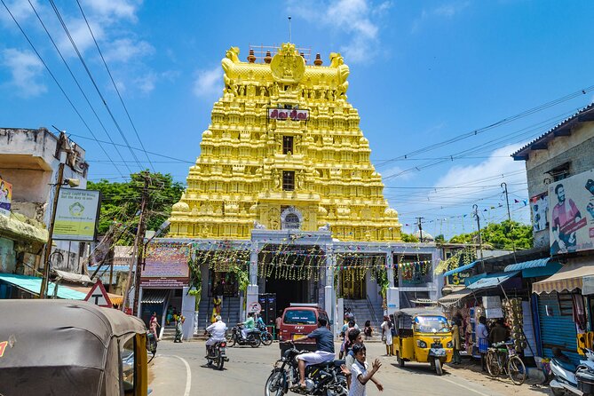 Day Trip to Rameshwaram (Curated Private Sightseeing Experience from Madurai) - What to expect from your driver/guide, and how to avoid rough edges