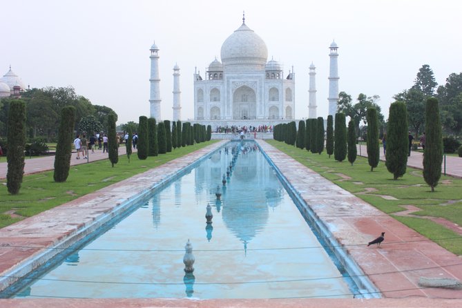 Day Trip to Taj Mahal from Delhi by Private Car - Why This Private Delhi to Agra Plan Works