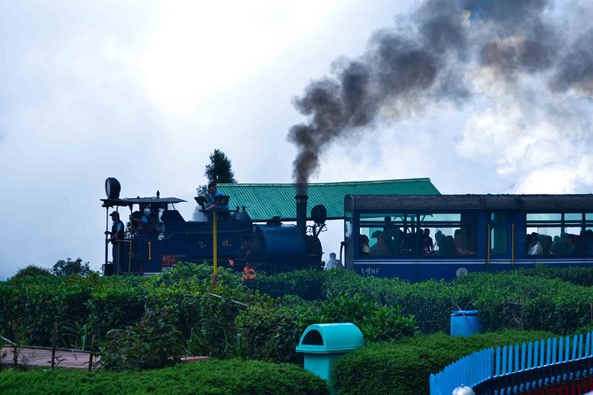 Day_Trippers (Darjeeling Full Day Tour). - 3am start, hotel pickup, and Tiger Hill sunrise reality
