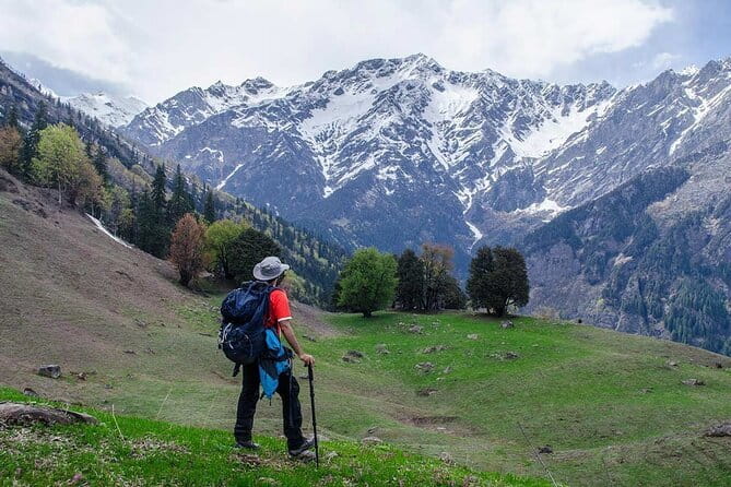 Dayara Bugyal and Surya Top Trek - Day 4: Gui back down to Raithal, short descent stress, and the end-of-trek reset