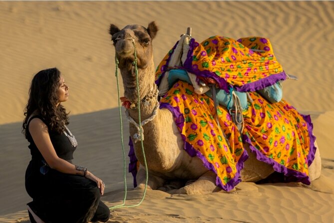 Dazzling Half Day Tour of Camel & Desert Safari with Sunset - Key Highlights Before You Go