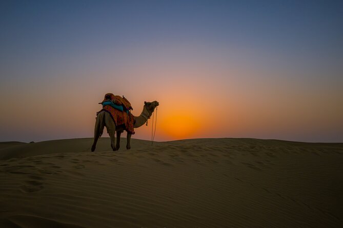 Dazzling Half Day Tour of Camel & Desert Safari with Sunset - What “Village Culture of Desert” Feels Like in Practice