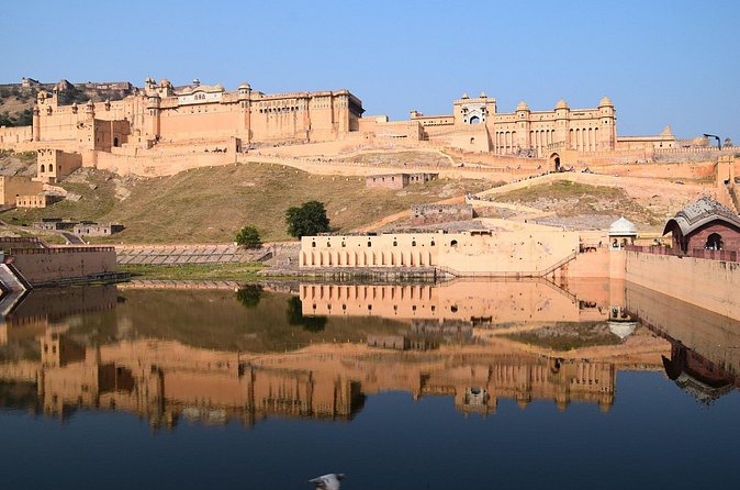 Delhi, Agra, Jaipur & Ranthambhore Tiger Safari 5-Day Tour - Accommodation and comfort: what the included hotels mean for you