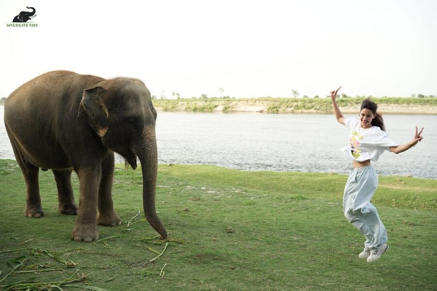 Delhi: All-Inclusive Day trip Taj Mahal with Elephant SOS - Taj Mahal Photo Spots and the Kind of Help You Appreciate