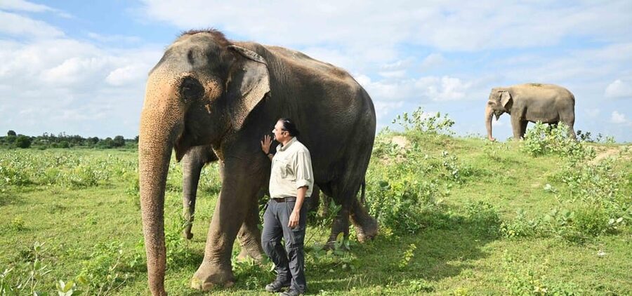 Delhi: All-Inclusive Day trip Taj Mahal with Elephant SOS - Lunch Stop in Agra, Then Straight to Wildlife SOS