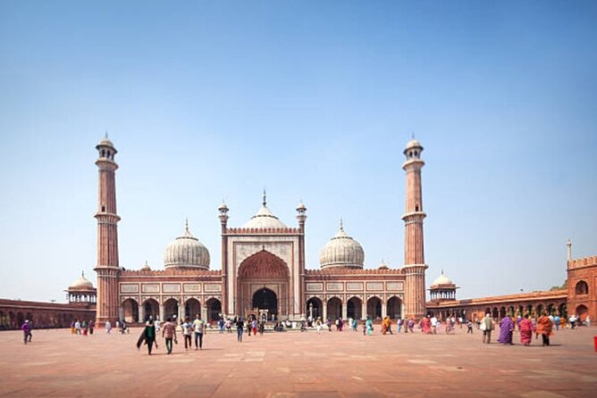 Delhi: City Sightseeing Private tour Half or Full-Day Option - The private vehicle and guide setup that makes the day smoother
