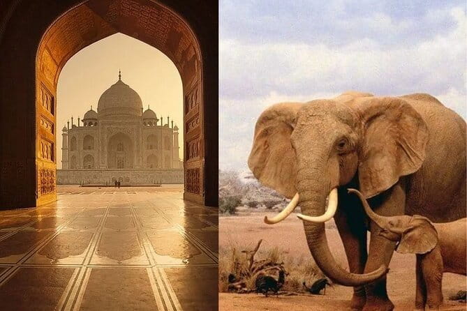 Delhi: Same Day Taj Mahal & Agra Fort Tour with Baby Taj & Lunch - Price and value: what $63.93 buys you, and what to double-check