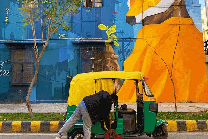 Delhi Street Art Walk in Lodhi Art District with Chai & Food - Who should book this street art and chai walk