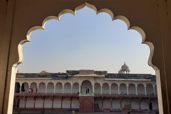 Delhi : Sunrise Taj Mahal & Elephant conservation - All Inclusive - Wildlife SOS elephant conservation center: a meaningful stop