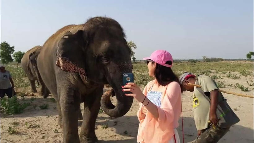 Delhi: Sunrise Taj Mahal & Elephant SOS Tour with Transfers - Price value for $13, plus what can cost extra