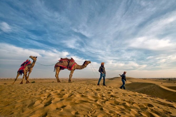 Desert Camel Safari Day Tour In Jodhpur - Key points to know before you go