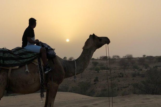 Desert Camel Safari Day Tour In Jodhpur - Sachiya Mata Temple: a self-guided hour with free admission