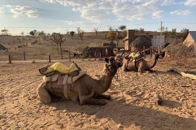 Desert Camel Safari Day Tour In Jodhpur - Osian camel safari: what the ride feels like (and what it doesn’t)