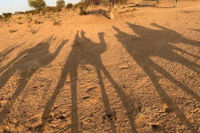 Desert Camel Safari Day Tour In Jodhpur - Pickup and the Osian drive: the part you should plan for