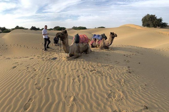 Desert Camel Safari & Jeep Safari Tour From Jodhpur - Camel Safari in the Thar Desert: Sunset Is the Real Prize