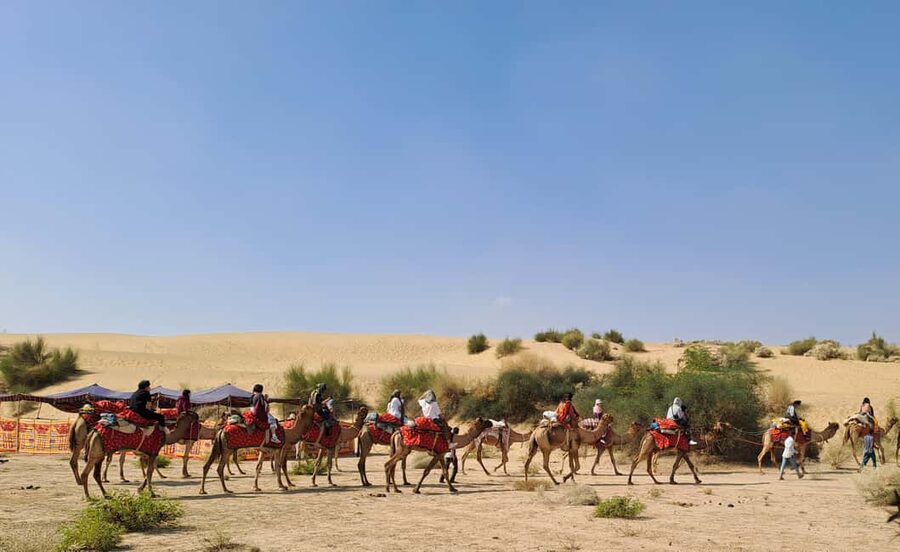 Desert Rose Jaisalmer: Luxury Tent In Thar Desert - Luxury Swiss tent overnight, with comfort that matters