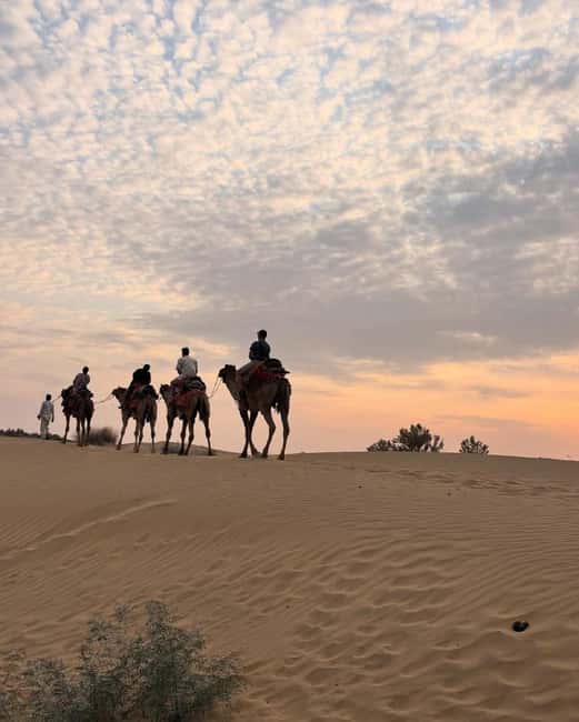 Desert Rose Jaisalmer: Luxury Tent In Thar Desert - Timing, transport, and how to avoid the common letdowns