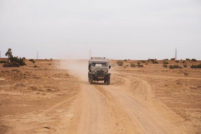 Desert Safari Tour Package - Camping Night and Meals: Dinner, Then the Quiet Sky