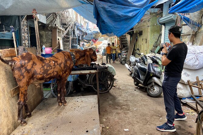 Dharavi Slum Tour in Mumbai with Combo Packages & Transfers - How to Prepare So You Get the Best Experience