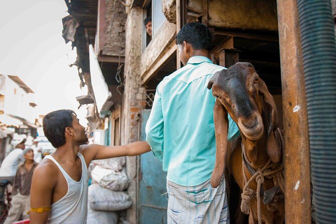 Dharavi Tour Including Car Transfer - Price and value: why $36.29 makes sense for what you get