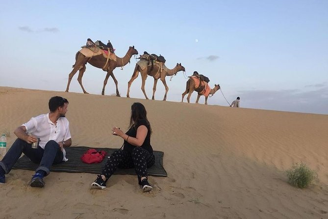Dinner on the Dunes & Camel Safari - Key points to know before you go