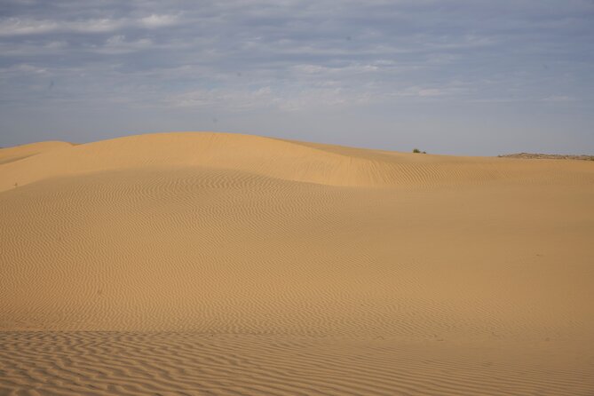 Dinner on the Dunes & Camel Safari - The real appeal: sunset camel time in Jaisalmer, not a drive-by show