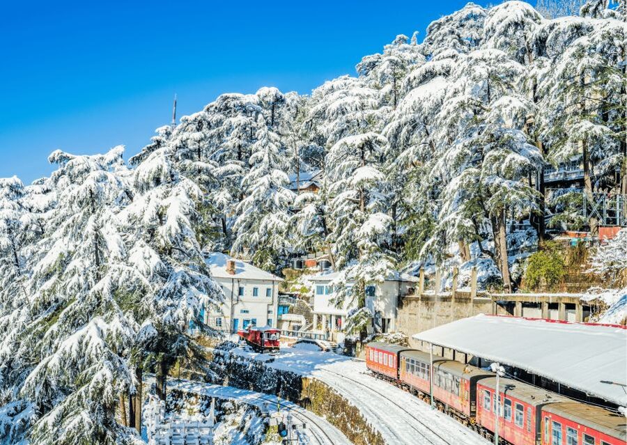 Discover the Colonial Trails of Shimla- Guided Walking Tour - Jakhoo Hill and Kali Bari Temple, Ending With a Spiritual Center