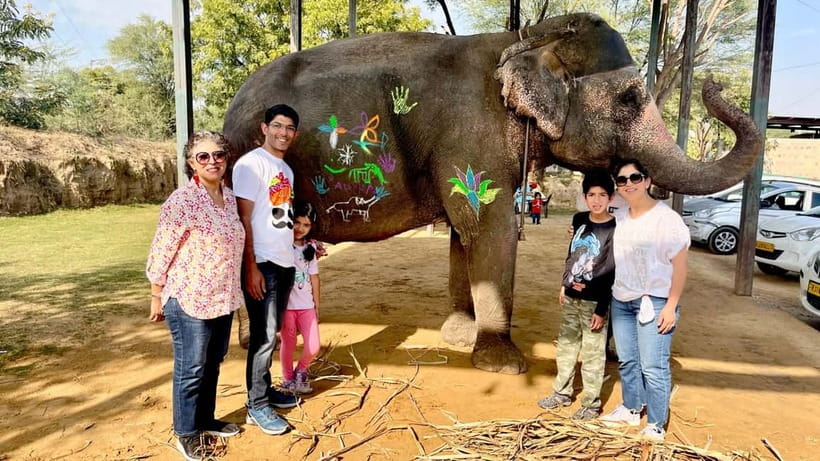 Elefun Best Elephant Sanctuary in Jaipur - Walking alongside elephants, ethical engagement over rides