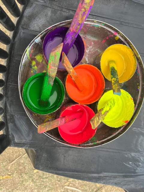 Elefun Best Elephant Sanctuary in Jaipur - Elephant washing and shower, and why the season matters