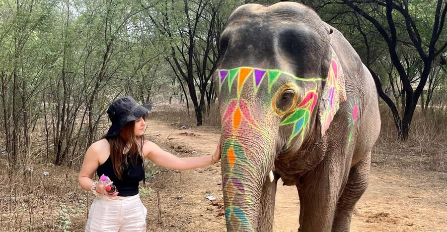 Elefun Best Elephant Sanctuary in Jaipur - Getting to Elefun, pickup from Hawa Mahal or your hotel