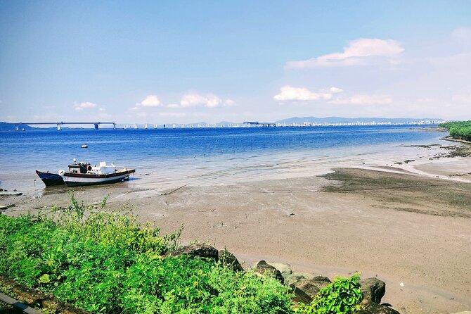 Elephanta Caves Mumbai Private Tour with Local Guide - Getting to Elephanta Island: ferry views from Mumbai Harbour