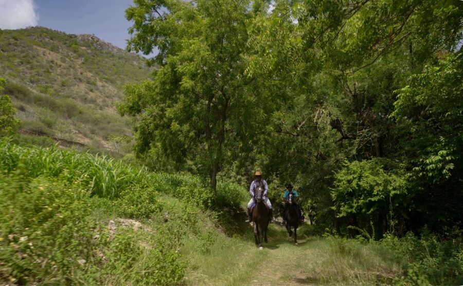 Equestrian Escape: Horse Safari Adventure - A Rajasthan Horse Safari Built Around Trust, Not Performance