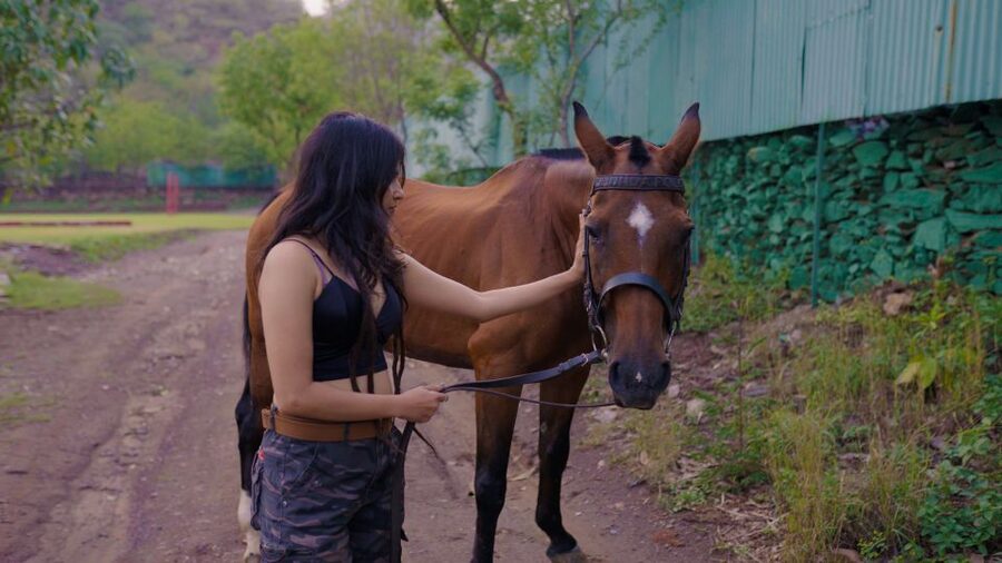 Equestrian Escape: Horse Safari Adventure - Marwari Horses and the Story of Maharana Pratap