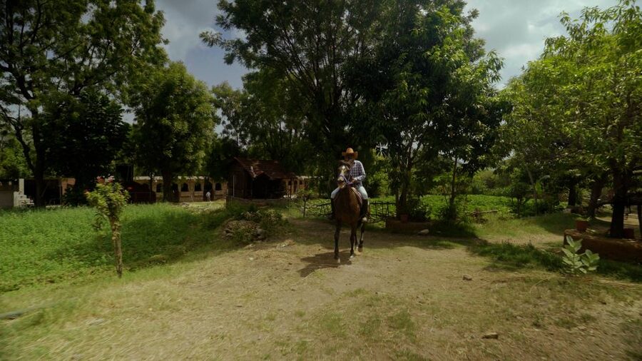 Equestrian Escape: Horse Safari Adventure - The Horseback Ride: An Off-the-Radar Trail Moment