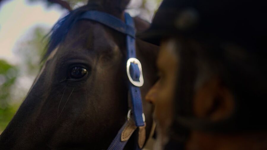 Equestrian Escape: Horse Safari Adventure - Timing and Logistics for a Smooth 2-Hour Experience