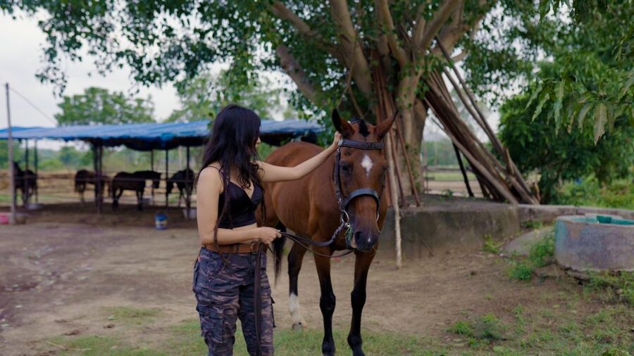 Equestrian Escape: Horse Safari Adventure - Price and Value: Is $104 Fair for What You Get?