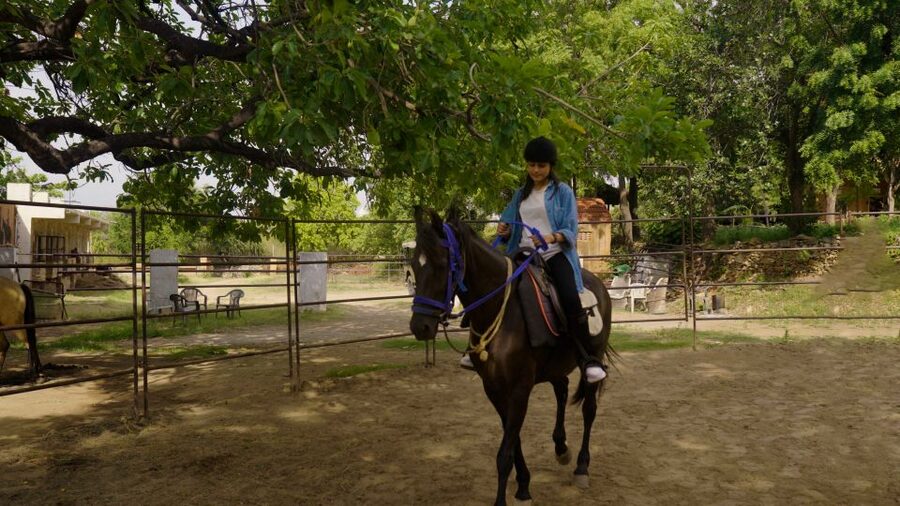 Equestrian Escape: Horse Safari Adventure - Who Should Book This Horse Safari Adventure